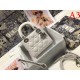 Outstanding brand print 2022SS DIOR Dior ladies bag Outstanding brand print 2022SS DIOR Dior ladies bag