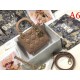 Outstanding brand print 2022SS DIOR Dior ladies bag Outstanding brand print 2022SS DIOR Dior ladies bag