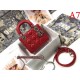 Outstanding brand print 2022SS DIOR Dior ladies bag Outstanding brand print 2022SS DIOR Dior ladies bag