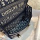 2022SS DIOR Dior Shoulder Bag High Review Item 2022SS DIOR Dior Shoulder Bag High Review Item