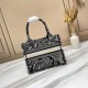 2022SS DIOR Dior tote bag High quality popular item 2022SS DIOR Dior tote bag High quality popular item