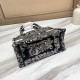 2022SS DIOR Dior tote bag High quality popular item 2022SS DIOR Dior tote bag High quality popular item