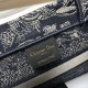 2022SS DIOR Dior tote bag High quality popular item 2022SS DIOR Dior tote bag High quality popular item
