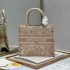2022SS DIOR Dior tote bag Adult-like atmosphere
