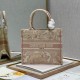 2022SS DIOR Dior tote bag Adult-like atmosphere 2022SS DIOR Dior tote bag Adult-like atmosphere