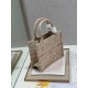 2022SS DIOR Dior tote bag Adult-like atmosphere 2022SS DIOR Dior tote bag Adult-like atmosphere