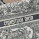 2022SS DIOR Dior tote bag Fashionable people love it! 2022SS DIOR Dior tote bag Fashionable people love it!
