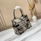 2022SS DIOR Dior tote bag Weekday limited instant delivery product 2022SS DIOR Dior tote bag Weekday limited instant delivery product