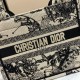 2022SS DIOR Dior tote bag Weekday limited instant delivery product 2022SS DIOR Dior tote bag Weekday limited instant delivery product