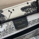 2022SS DIOR Dior tote bag Weekday limited instant delivery product 2022SS DIOR Dior tote bag Weekday limited instant delivery product