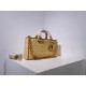 2022SS DIOR Dior shoulder bag popular item 2022SS DIOR Dior shoulder bag popular item