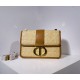 2022SS DIOR Dior Shoulder Bag Top Trend 2022SS DIOR Dior Shoulder Bag Top Trend