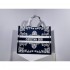 2022SS DIOR Dior tote bag popular restock sale