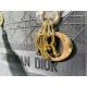 2022SS DIOR Dior Shoulder Bag Highly rated item 2022SS DIOR Dior Shoulder Bag Highly rated item
