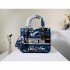 2022SS DIOR Dior Shoulder Bag Fashion Item