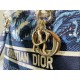 2022SS DIOR Dior Shoulder Bag Fashion Item 2022SS DIOR Dior Shoulder Bag Fashion Item