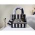 2022SS DIOR Dior shoulder bag rich in color