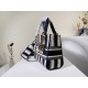 2022SS DIOR Dior shoulder bag rich in color 2022SS DIOR Dior shoulder bag rich in color