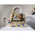 2022SS DIOR Dior Shoulder Bag Popular and popular!