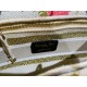 2022SS DIOR Dior Shoulder Bag Popular and popular! 2022SS DIOR Dior Shoulder Bag Popular and popular!
