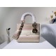 2022SS DIOR Dior Shoulder Bag New Unisex 2022SS DIOR Dior Shoulder Bag New Unisex