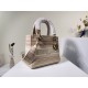 2022SS DIOR Dior Shoulder Bag New Unisex 2022SS DIOR Dior Shoulder Bag New Unisex