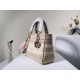 2022SS DIOR Dior Shoulder Bag New Unisex 2022SS DIOR Dior Shoulder Bag New Unisex