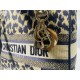 2022SS DIOR Dior Shoulder Bag Popular New * Super Specials 2022SS DIOR Dior Shoulder Bag Popular New * Super Specials