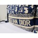 2022SS DIOR Dior backpack Easy to balance 2022SS DIOR Dior backpack Easy to balance