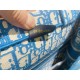 2022SS DIOR Dior tote bag New work with excellent assertiveness 2022SS DIOR Dior tote bag New work with excellent assertiveness