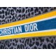 2022SS DIOR Dior tote bag fashion trend 2022SS DIOR Dior tote bag fashion trend