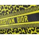 2022SS DIOR Dior Tote Bag Make a cool impression 2022SS DIOR Dior Tote Bag Make a cool impression