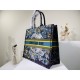 2022SS DIOR Dior Tote Bag Looks youthful and energetic 2022SS DIOR Dior Tote Bag Looks youthful and energetic