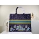 2022SS DIOR Dior Tote Bag Looks youthful and energetic 2022SS DIOR Dior Tote Bag Looks youthful and energetic
