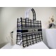 2022SS DIOR Dior tote bag Very easy to take in 2022SS DIOR Dior tote bag Very easy to take in