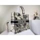 2022SS DIOR Dior tote bag looks fashionable 2022SS DIOR Dior tote bag looks fashionable
