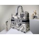 2022SS DIOR Dior tote bag looks fashionable 2022SS DIOR Dior tote bag looks fashionable