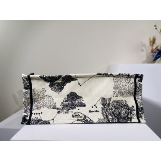 2022SS DIOR Dior tote bag looks fashionable 2022SS DIOR Dior tote bag looks fashionable