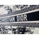 2022SS DIOR Dior tote bag looks fashionable 2022SS DIOR Dior tote bag looks fashionable