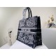 2022SS DIOR Dior tote bag Adult-like atmosphere 2022SS DIOR Dior tote bag Adult-like atmosphere