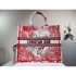 2022SS DIOR Dior tote bag Spring / Summer trendy items