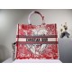 2022SS DIOR Dior tote bag Spring / Summer trendy items 2022SS DIOR Dior tote bag Spring / Summer trendy items