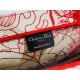 2022SS DIOR Dior tote bag Spring / Summer trendy items 2022SS DIOR Dior tote bag Spring / Summer trendy items