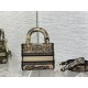 DIOR Dior Tote Bag 2022SS Style that can be used for a long time this summer DIOR Dior Tote Bag 2022SS Style that can be used for a long time this summer