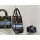 DIOR Dior Tote Bag 2022SS This summer's new work taken for granted DIOR Dior Tote Bag 2022SS This summer's new work taken for granted