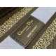 DIOR Dior Tote Bag 2022SS This summer's new work taken for granted DIOR Dior Tote Bag 2022SS This summer's new work taken for granted
