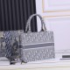DIOR Dior Tote Bag 2022SS Items that bring out the texture DIOR Dior Tote Bag 2022SS Items that bring out the texture