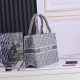 DIOR Dior Tote Bag 2022SS Items that bring out the texture DIOR Dior Tote Bag 2022SS Items that bring out the texture