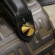 FENDI Fendi backpack 2022SS Highly favorable item FENDI Fendi backpack 2022SS Highly favorable item