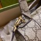 2022SS GUCCI Gucci Ladies Bag 2022SS GUCCI Gucci Ladies Bag